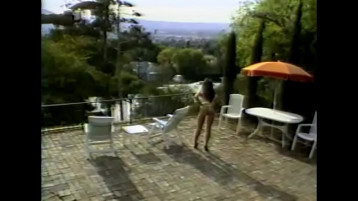 Lbo  Anal Vision 04  Tam Film