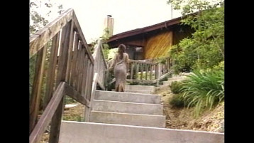 Lbo  Anal Vision 28  Tam Film